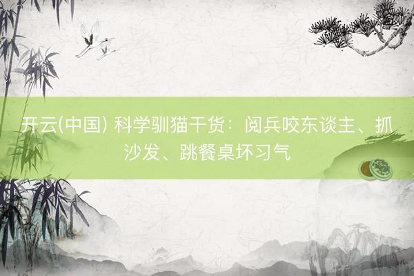 开云(中国) 科学驯猫干货：阅兵咬东谈主、抓沙发、跳餐桌坏习气