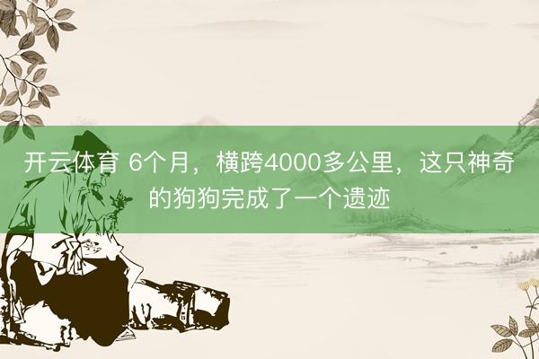 开云体育 6个月，横跨4000多公里，这只神奇的狗狗完成了一个遗迹