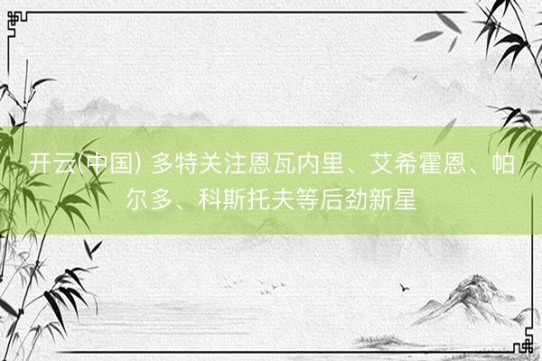 开云(中国) 多特关注恩瓦内里、艾希霍恩、帕尔多、科斯托夫等后劲新星