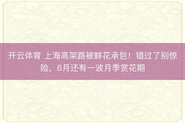 开云体育 上海高架路被鲜花承包！错过了别惊险，6月还有一波月季赏花期