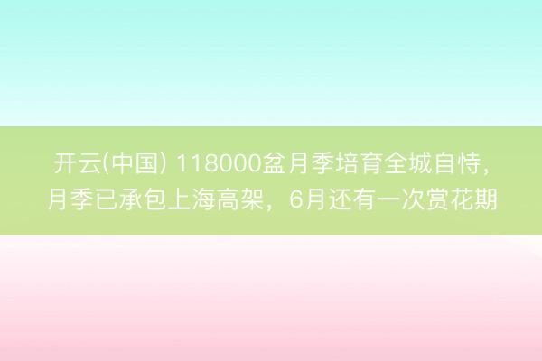 开云(中国) 118000盆月季培育全城自恃,月季已承包上海高架,6月还有一次赏花期